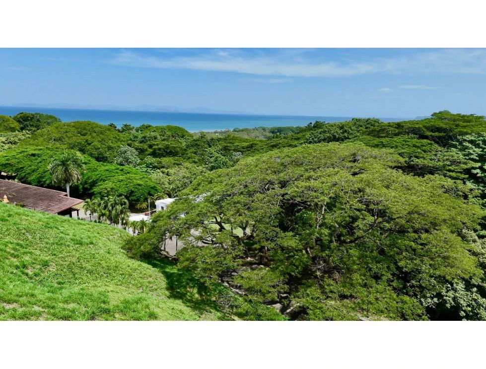 Spectacular Lot in Nativa, Garabito: Ocean Views and Pure Nature - photo 8