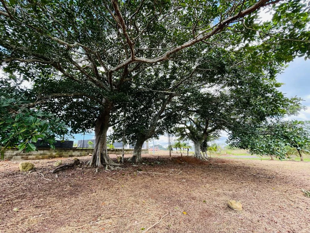 Bargain Lot for sale in Residencial Vista Mar with Ocean and mountain view between San Mateo and Orotina Alajuela Costa Rica - Gallery image 12