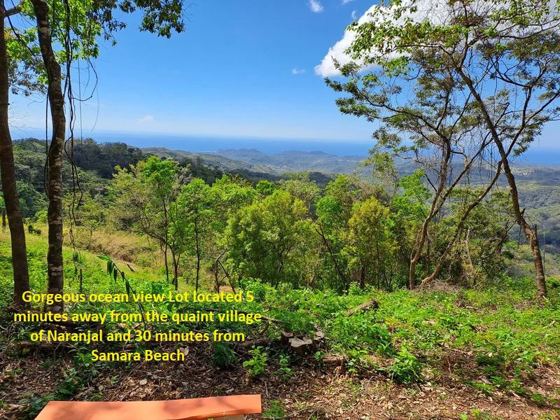 Lote Mirador # 2: Breathtaking Lot with Stunning Ocean Views, Large Building Pad, just 30 minutes from Samara Beach