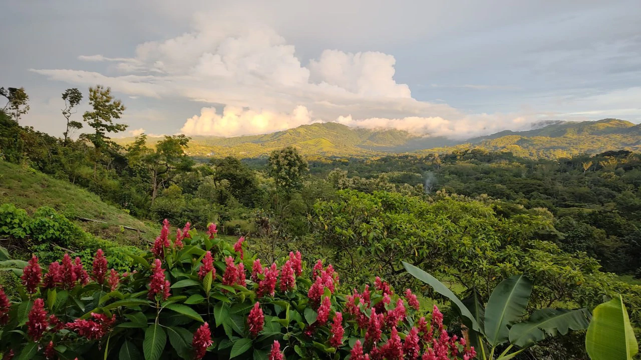 Agricultural Farm for Sale in the mountains of Hojancha, Beautiful 25-acre property with floating lake Apartment and Huge main home - Gallery image 21