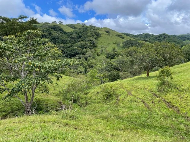 10 acre Dream Mountain Farmland near Monteverde - Gallery image 7