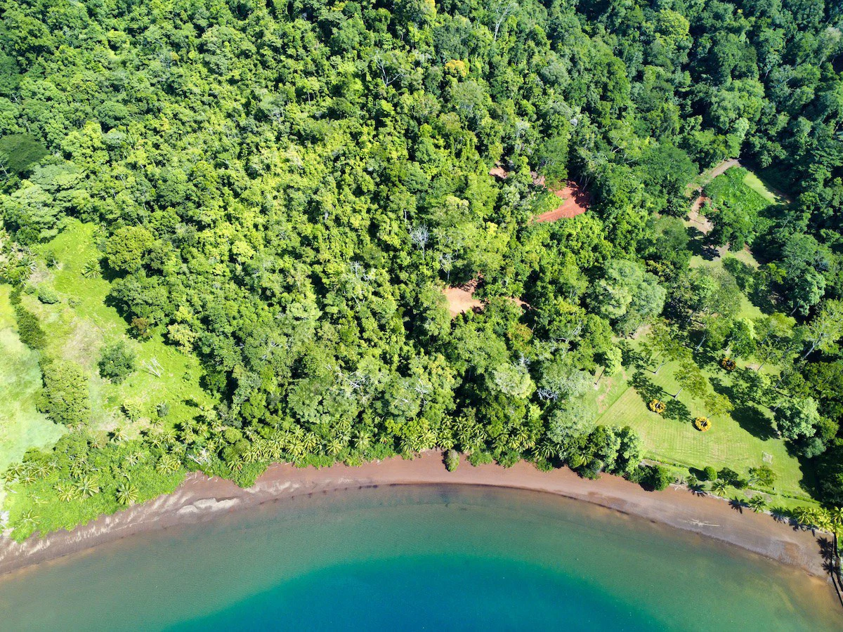 Spectacular Coastal Rainforest Estate Property - Gallery image 3