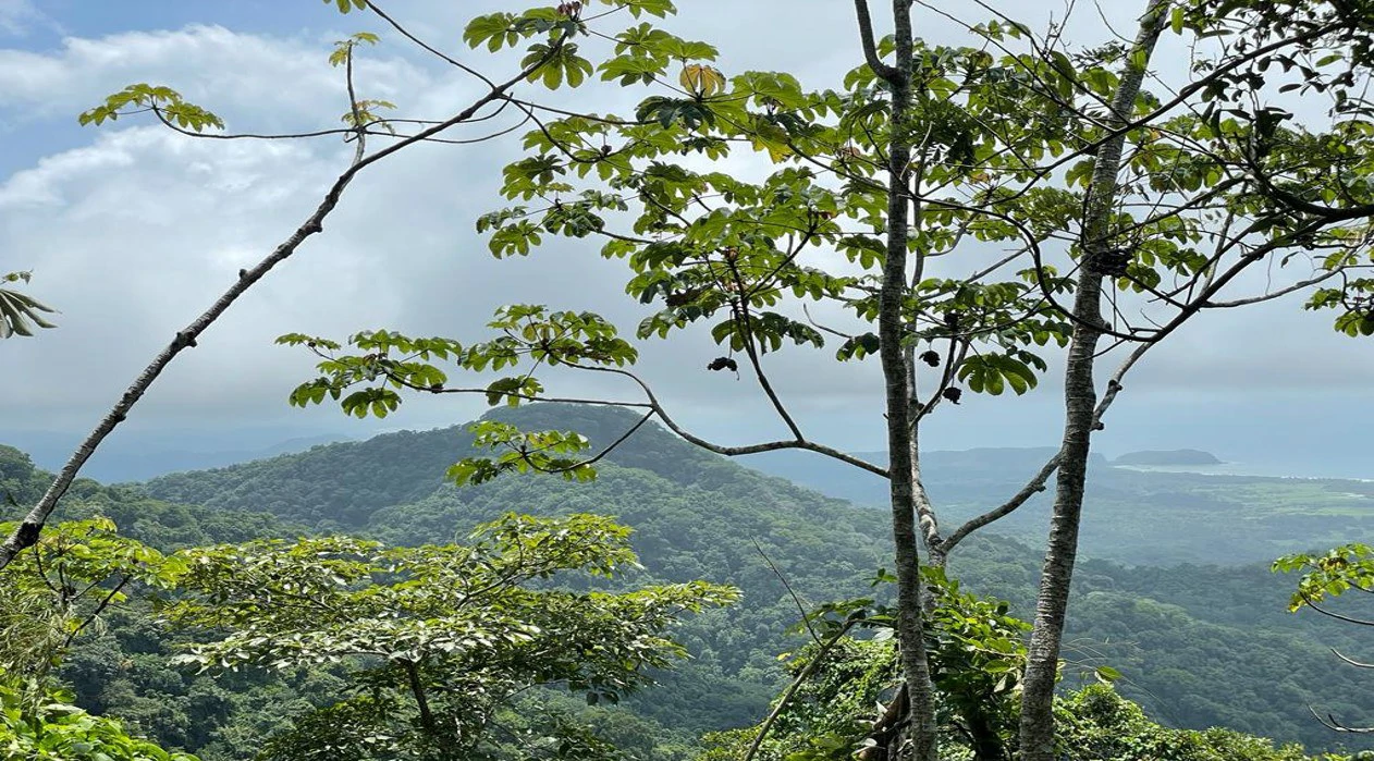 Ocean View Farm for Sale Guanacaste Costa Rica - Gallery image 9