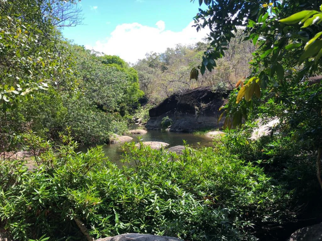 Big Farm: Property of 231 hectares in the Salto de Bagaces - Gallery image 21