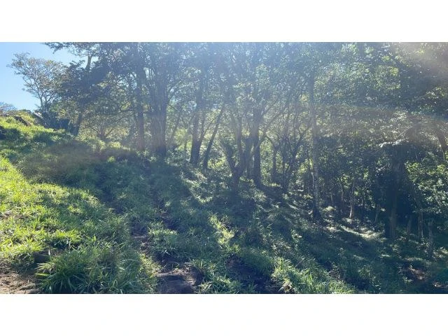 Nature Paradise Farm for sale in the mountains of Quebrada Grande, Building potential property 30 minutes away from Liberia - Gallery image 6