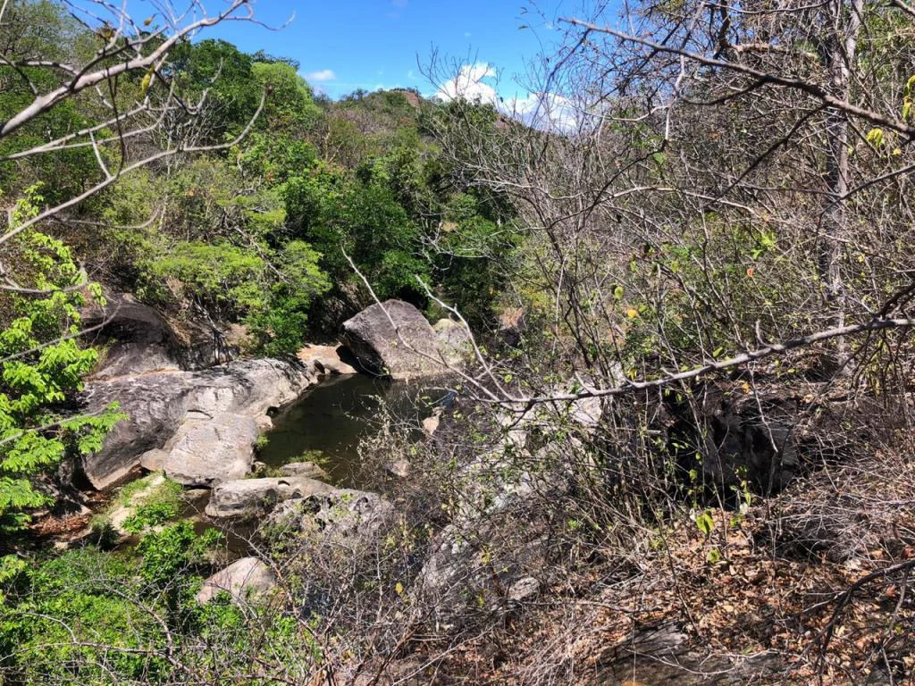 Big Farm: Property of 231 hectares in the Salto de Bagaces - Gallery image 11