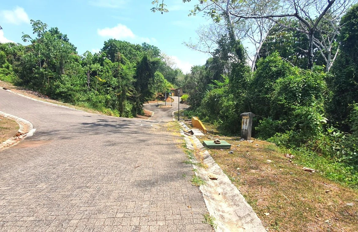 Home Construction Site For Sale in Esterillos - Gallery image 3