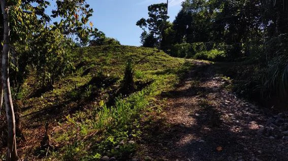 Lote Residencial en Venta, Bahía Ballena, Puntarenas: Near the Coast Home Construction Site For Sale in Bahía Ballena - Gallery image 5