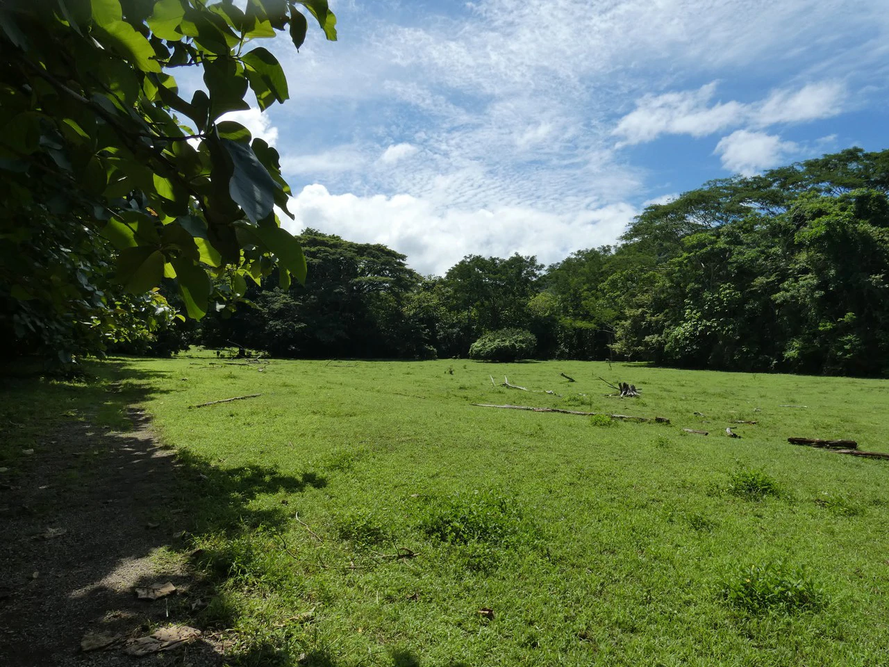 Samara beach property project with own natural reserve and ocean views - Gallery image 14