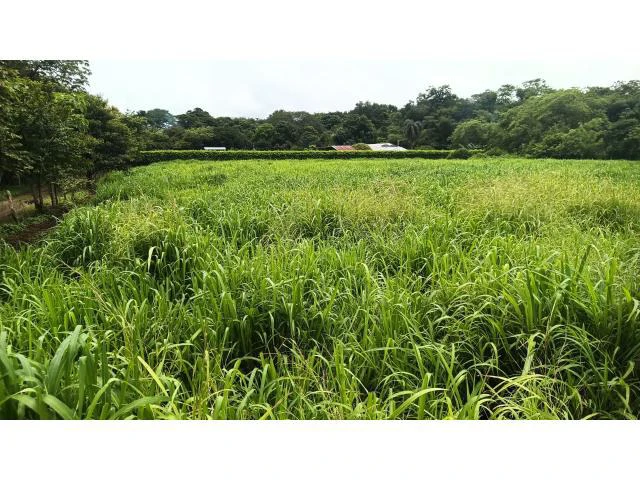Amazing building property for sale 5 minutes away from Liberia center and 2 minutes walking to the Colorado River