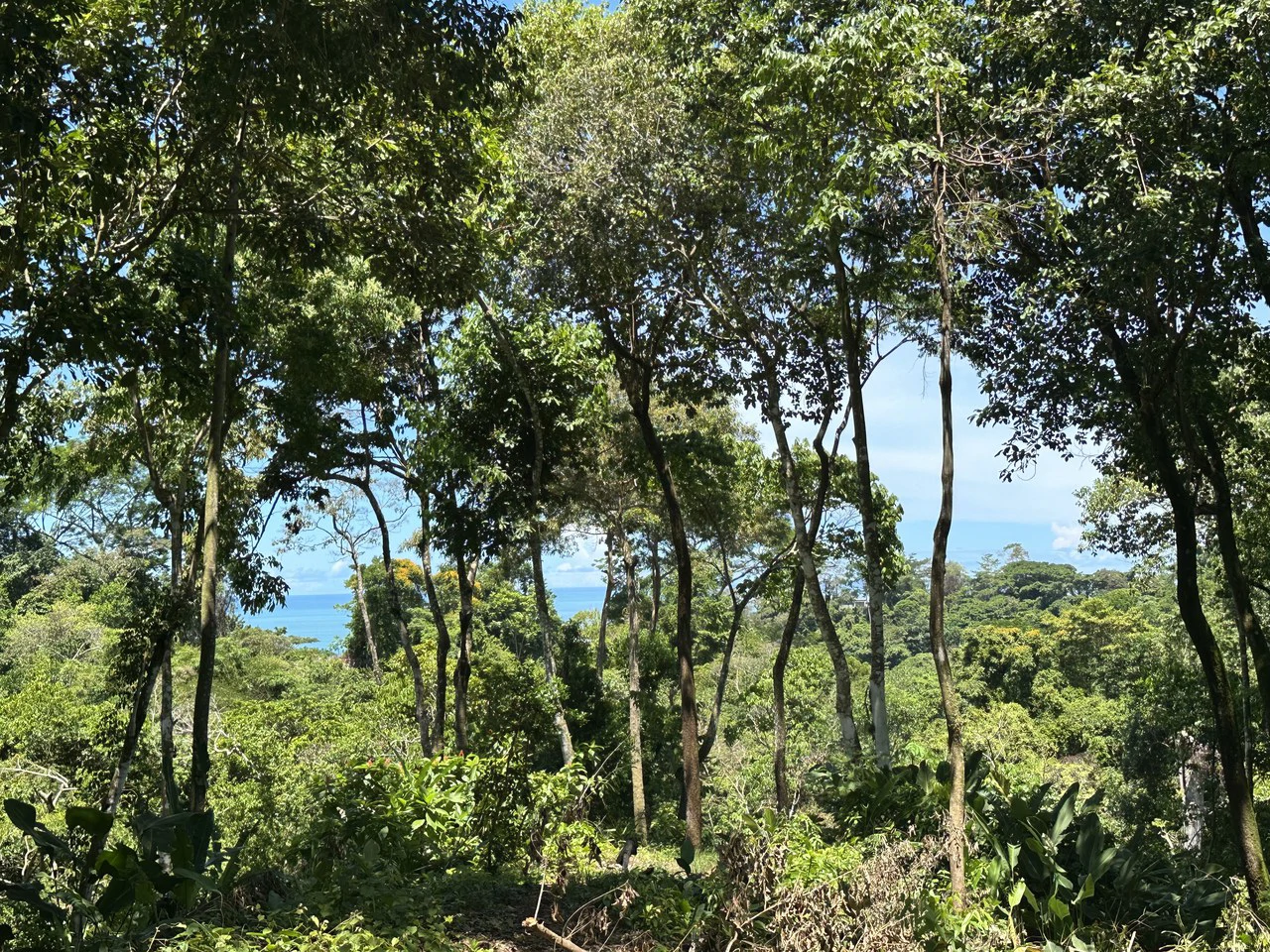 Ocean View Lot in Paradise Breezes, Hatillo - Ready to build - Gallery image 17