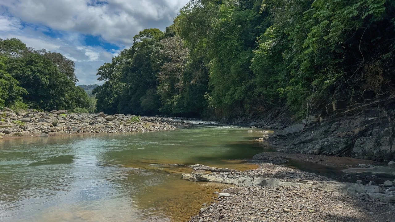 60+ Hectares in Platanillo | Own Your Own Mountain in Costa Rica - Gallery image 46