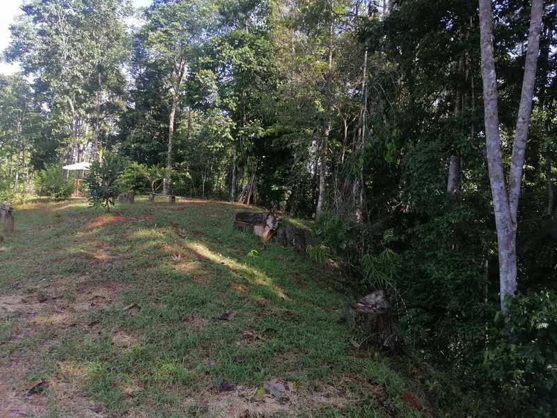 2.47 Acres Property | Mountain Top Ocean View lot in Bahía Chal - Gallery image 21