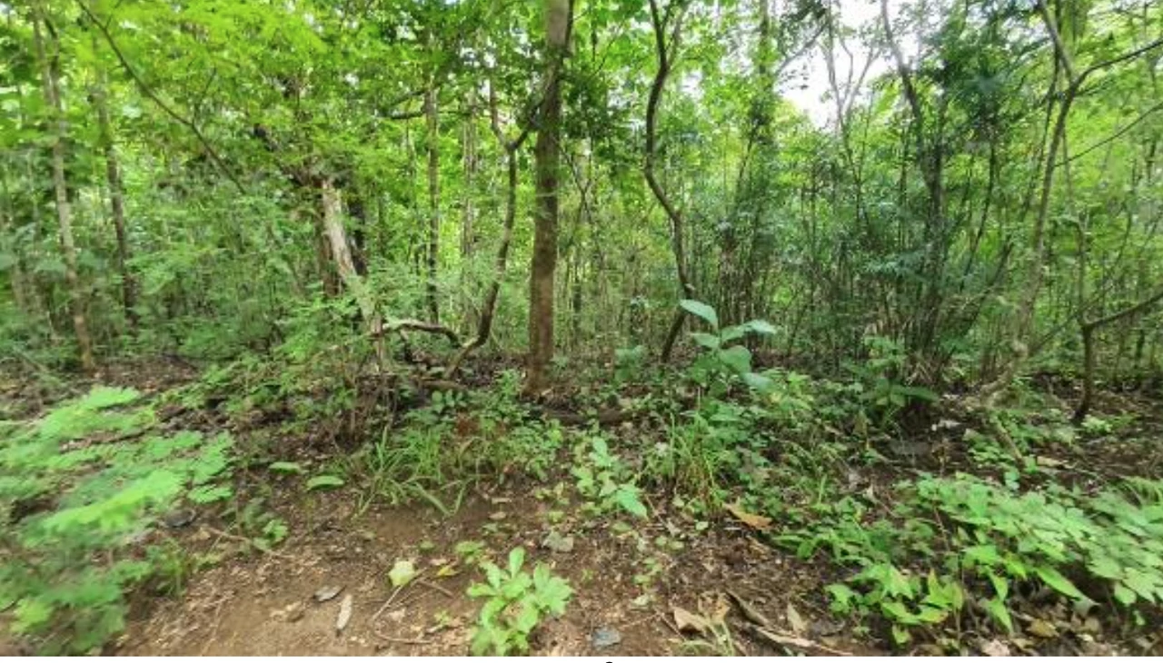 First Time Listed! Playa Avellanas Costa Rica Ocean View Development Land for Sale. Water and Land letter in Place. A Developer Dream! - Gallery image 9