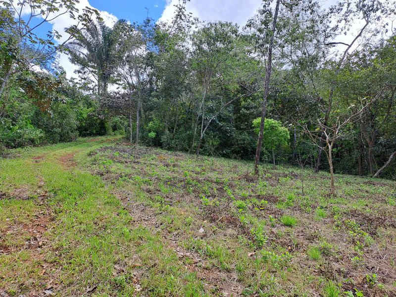 Lotes Mirador: Lotes Mirador, Breathtaking Lots with Stunning Ocean and Mountain Views, Large Building Pads, just 30 minutes from Samara Beach - Gallery image 12