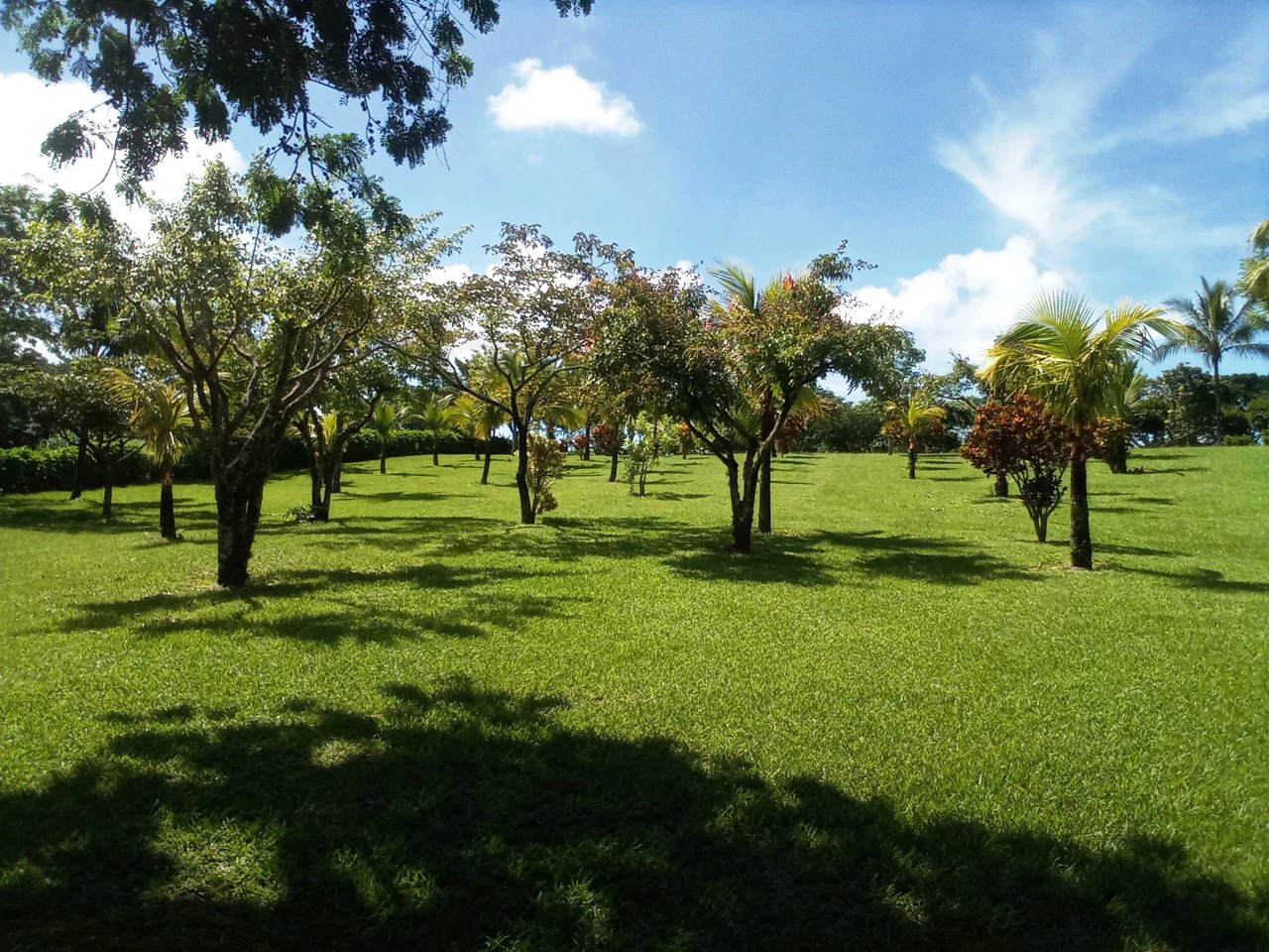 Sarchi City Compound: Spacious Private Finca near the City! - Gallery image 3