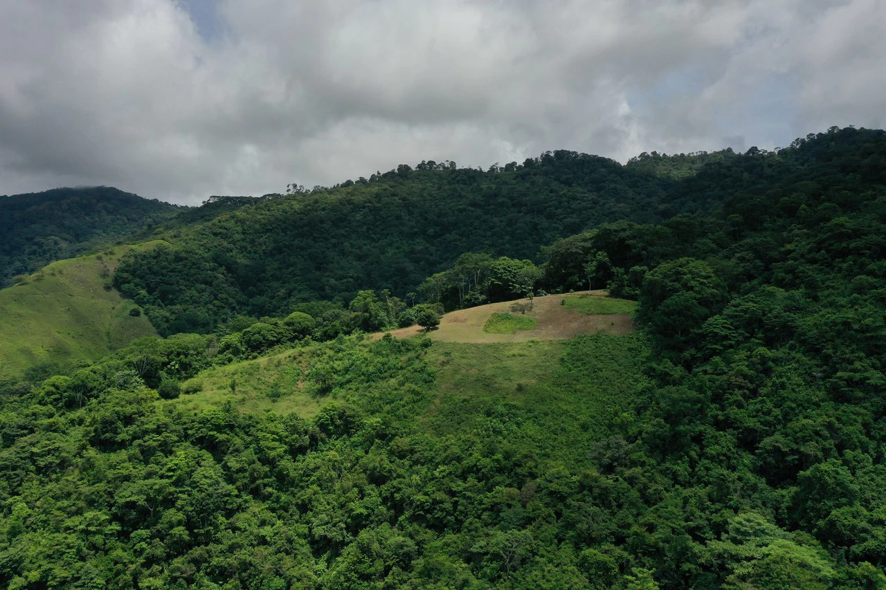 137 Acre Ocean View Farm with Riverfront in Southern Costa Rica - Gallery image 3