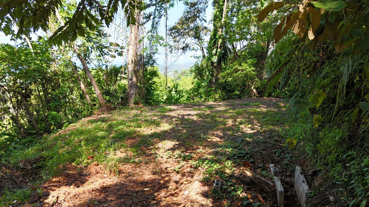 Exceptional Development Opportunity 71 acre Riverfront & Ocean View in Hatillo - Gallery image 5