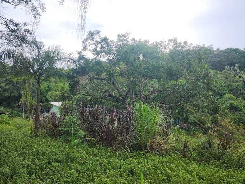 Subdividable lot in Manuel Antonio - Gallery image 9