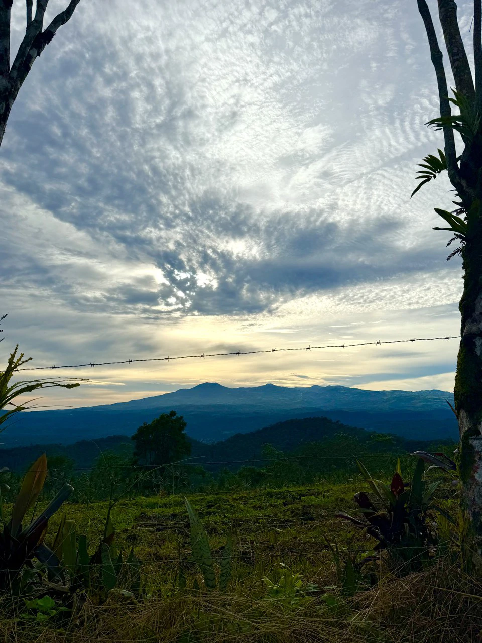 Spectacular views 13.81 acres lot - Great Location for dream home or cabins - photo 10