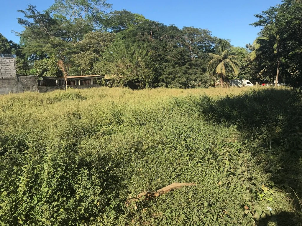 Large beach property in Playas del Coco - Gallery image 7