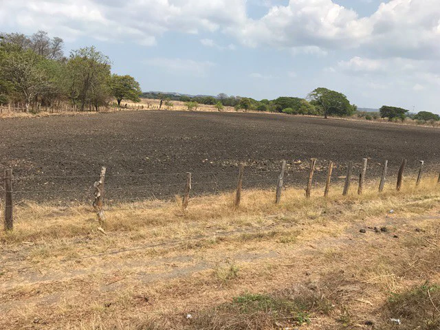 Great opportunity: Big property in Palmira de Carrillo - Gallery image 6
