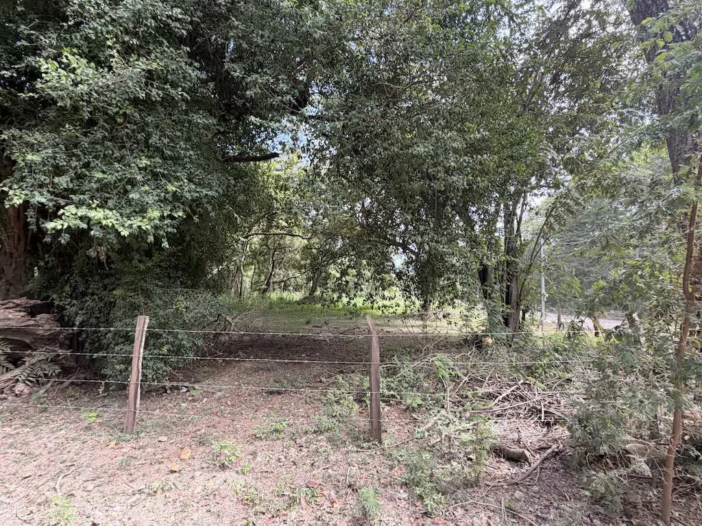 Build-Ready Lot: Palm Beach Estates - photo 10