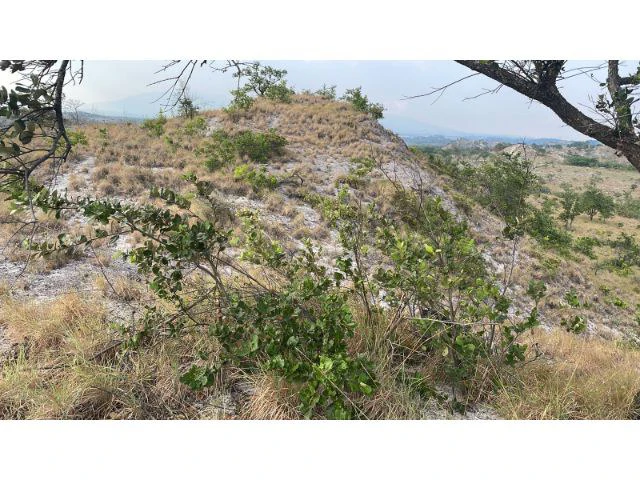 Zoning for homes, apartments, and warehouses in the mountains of Liberia, Beautiful 9.7 ha land with building permits - Gallery image 20