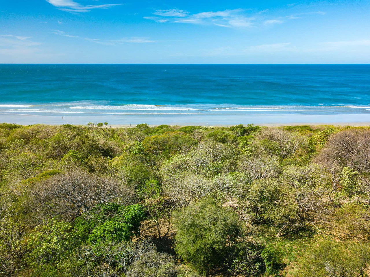 Playa Grande Lot #1: Titled Beachfront Estate Lot Playa Grande - Gallery image 9