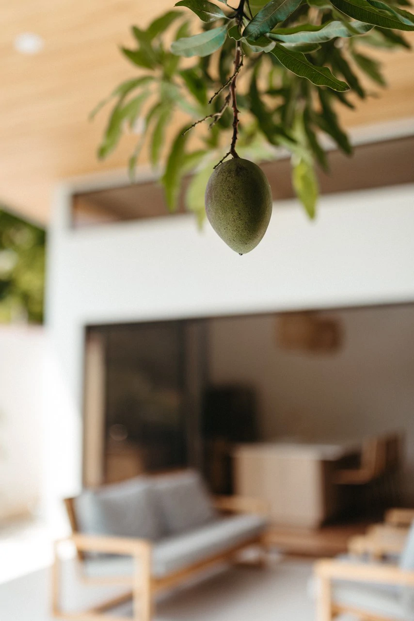 Casa Mango: Elevated Boho Home near the Beach - Gallery image 22