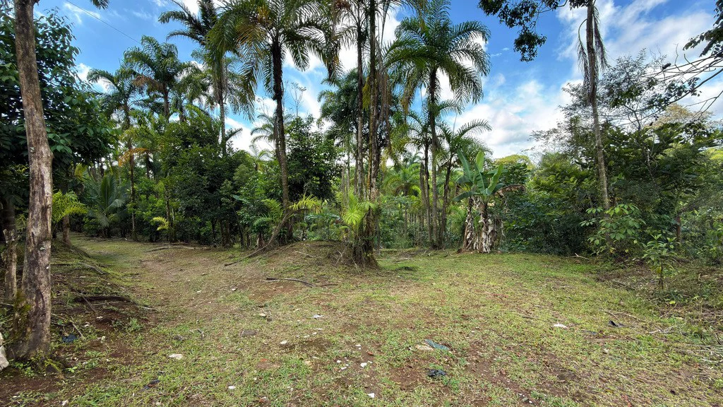 Countryside Agricultural Land For Sale in Pueblo Nuevo - Gallery image 7