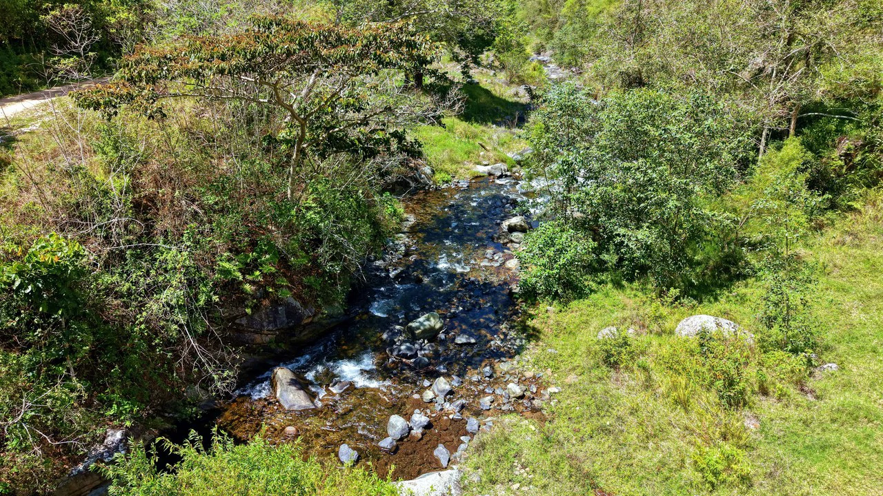 Mountain Agricultural Land For Sale in Herradura - Gallery image 4