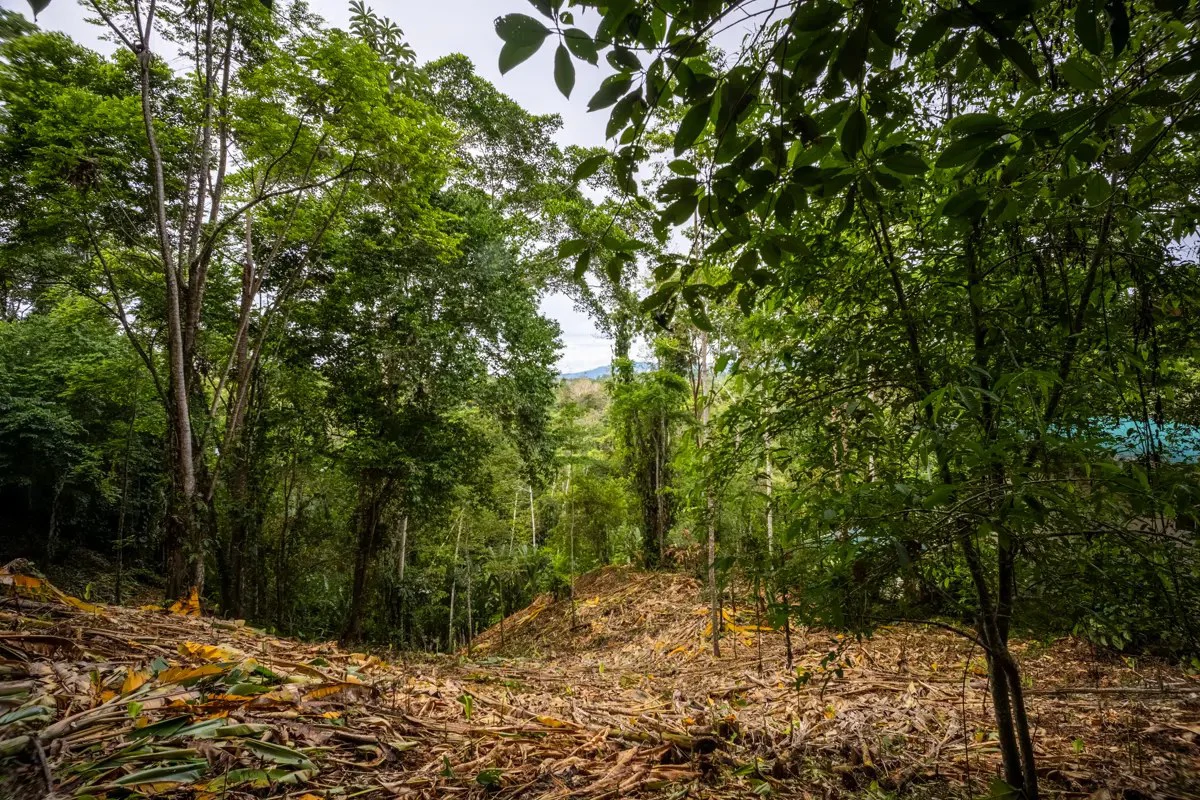 ID 1084: 5,500 sqm Lot with Mountain View in Iriria 1, Punta Uva - Gallery image 7