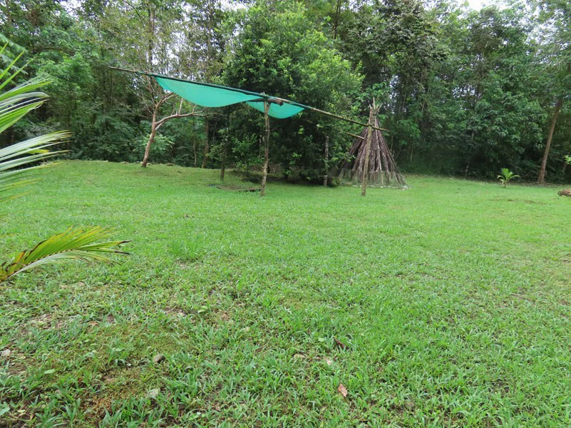 Land For Sale in Dos Brazos, Puerto Jimenez, Ideal For Home Surrounded by Nature - Gallery image 4