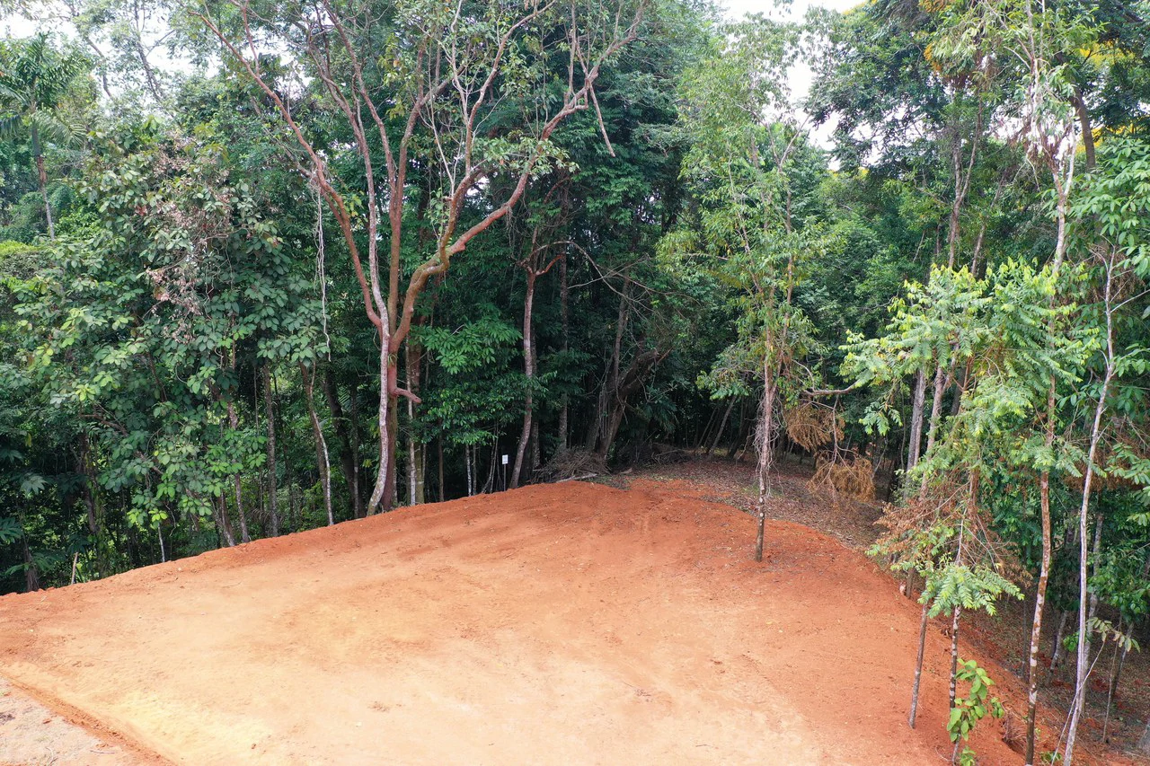 2.5 Acre Jungle and Valley View Home site in Dominical - Gallery image 5