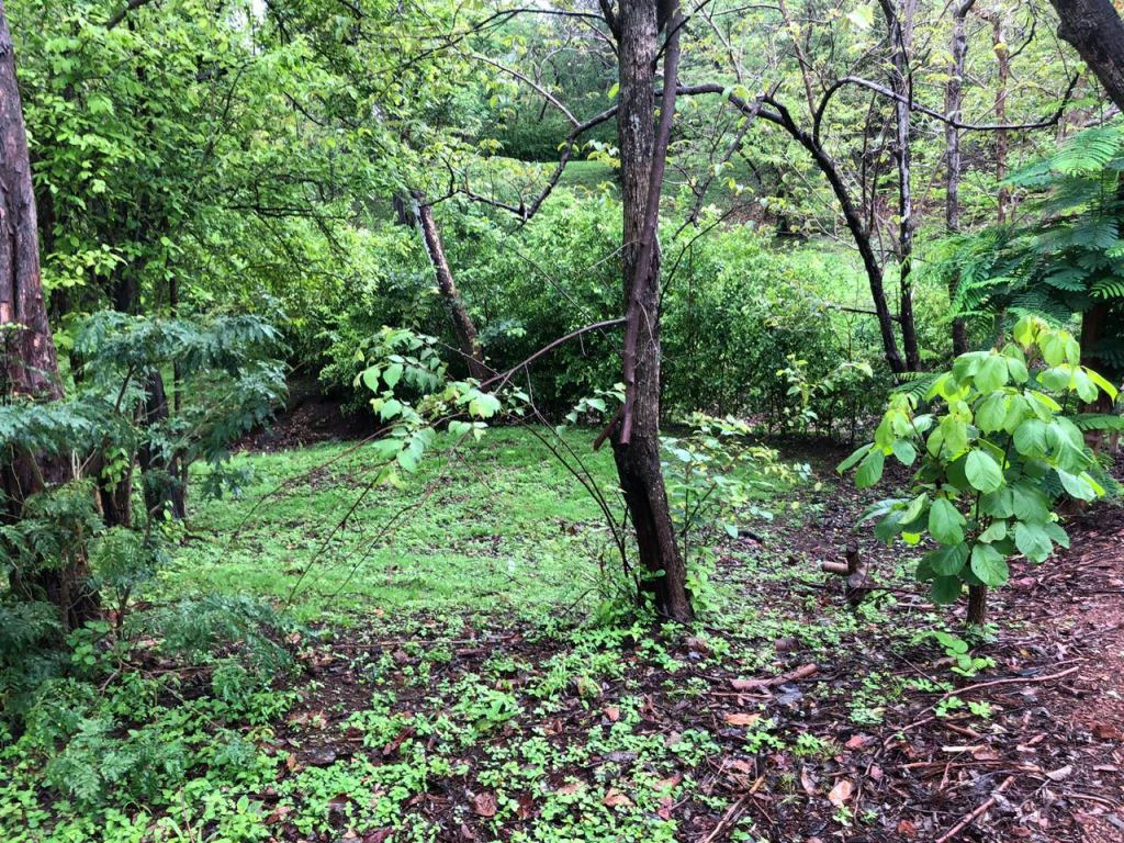 Lot in exclusive Residential, close to Beach Tamarindo - Gallery image 20