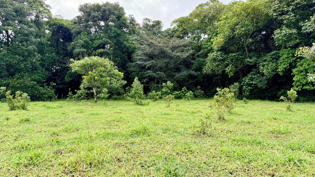 Mountain Home Construction Site For Sale in San Isidro del General - photo 17