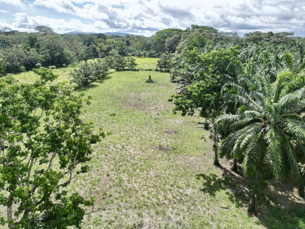 Titled Property Near The Golfo Dulce Coast - Gallery image 4