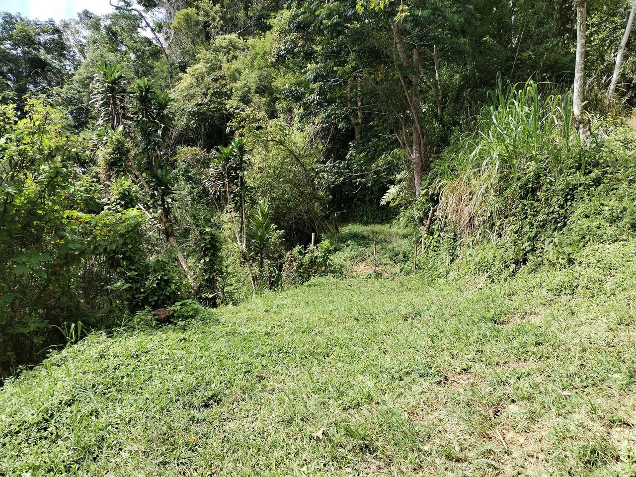 LOTE EN HERRADURA RIVAS.: Mountain Agricultural Land For Sale in San Isidro del General - Gallery image 24