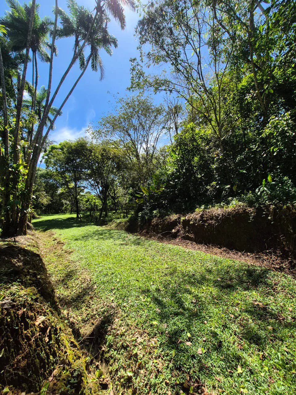 Mountain Home Construction Site For Sale in Centro de Pérez Zeledón - Gallery image 9
