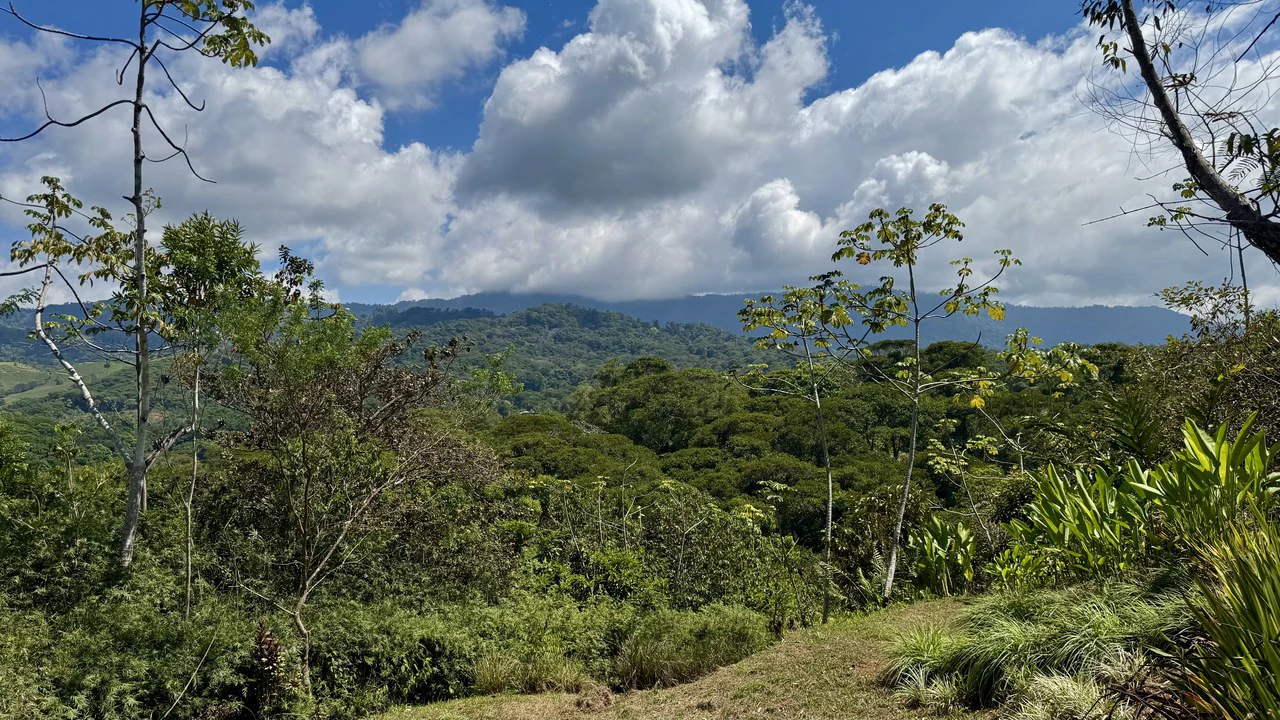 New 1,4 Acre lot in Platanillo – With Legal Water - Gallery image 3