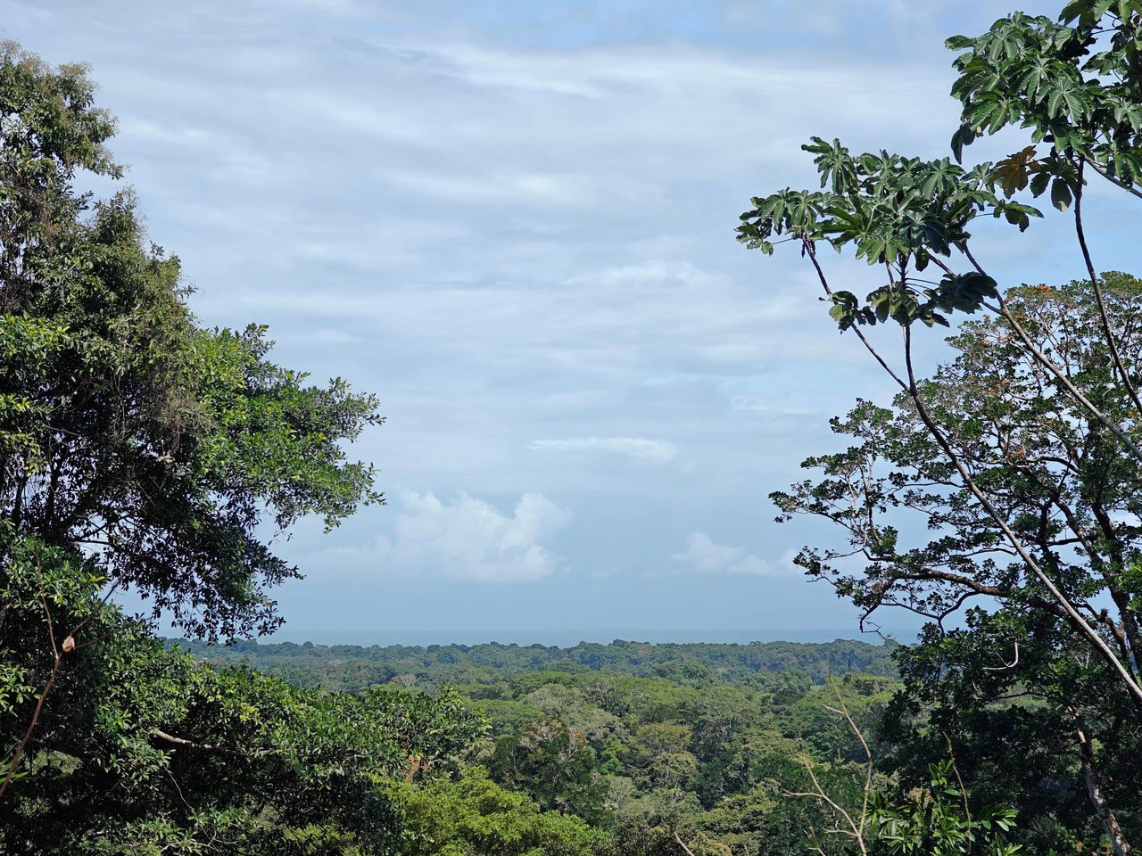 61,618m² of Land near Cahuita: With Existing Infrastructure and Ocean View