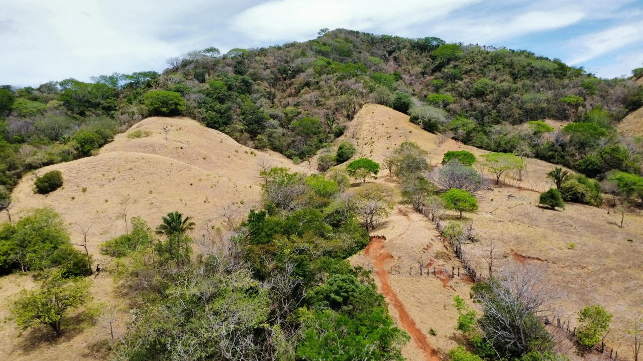 37-Hectare Ocean View Development Property Near Sámara, Buena Vista & Barrigona - photo 2