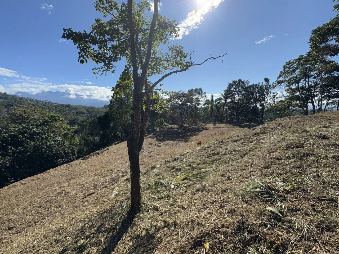 Stunning 2.4 Acre Property in Quebradas San Isidro del General - Gallery image 27
