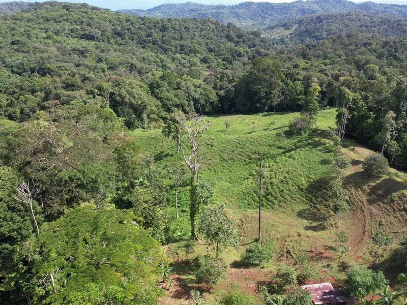 69.16 Acres Property | Mountain & Top Ocean View with Small Home - Gallery image 21