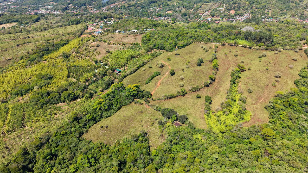 Agricultural Land For Sale in MORAZAN - Gallery image 14
