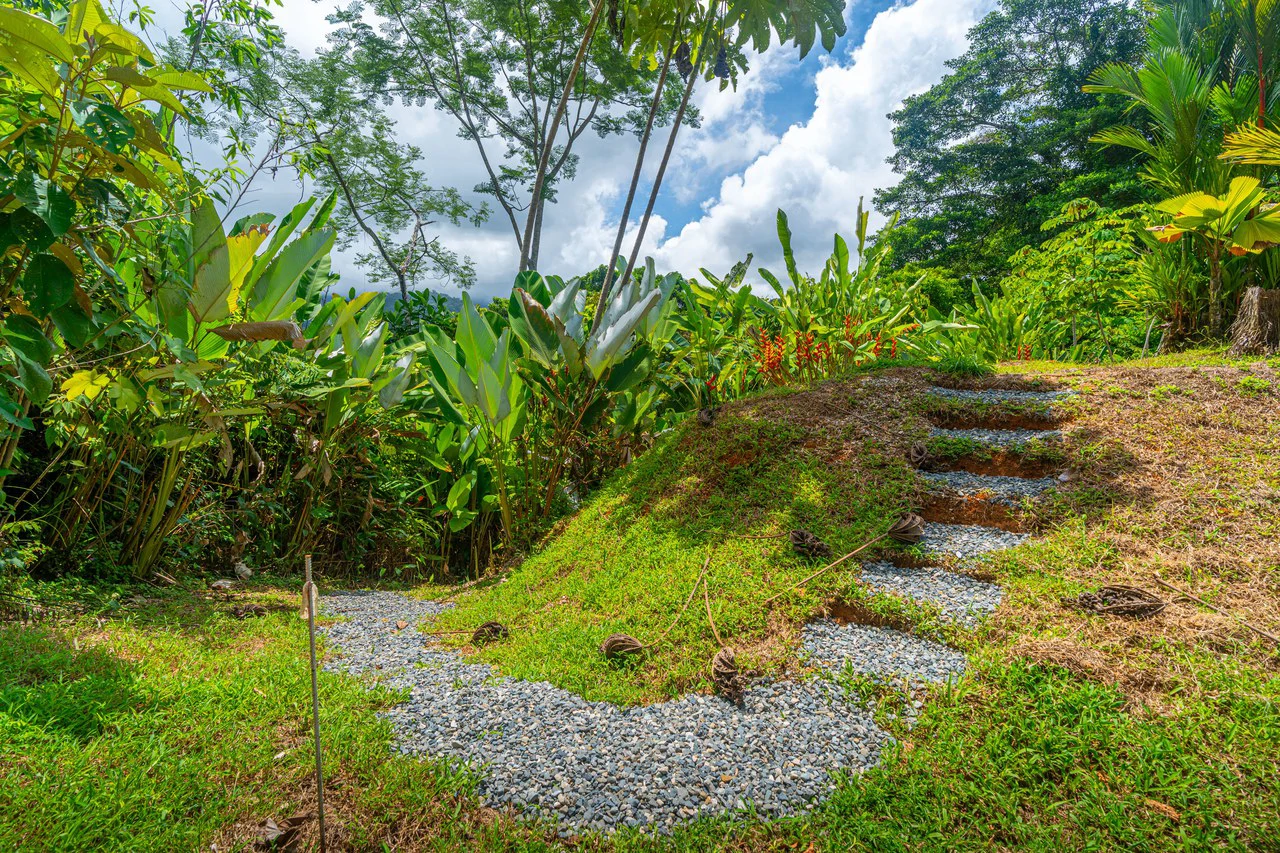 Amazing Mountain View and Ocean View House and Guest House on 4.5 Acres of land in Ojochal - Gallery image 38