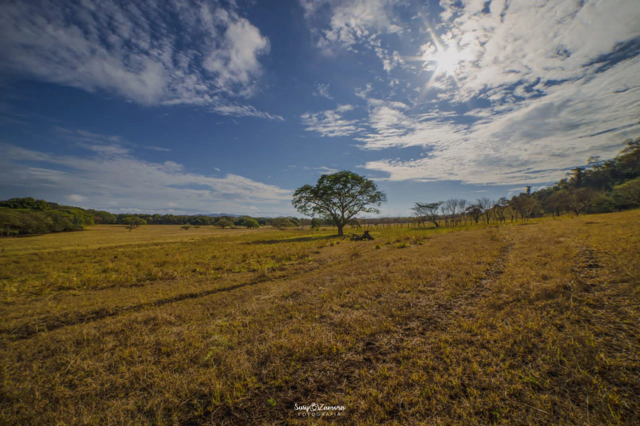 Land for Sale Lepanto Puntarenas overlooking the Gulf Costa Rica - Gallery image 6