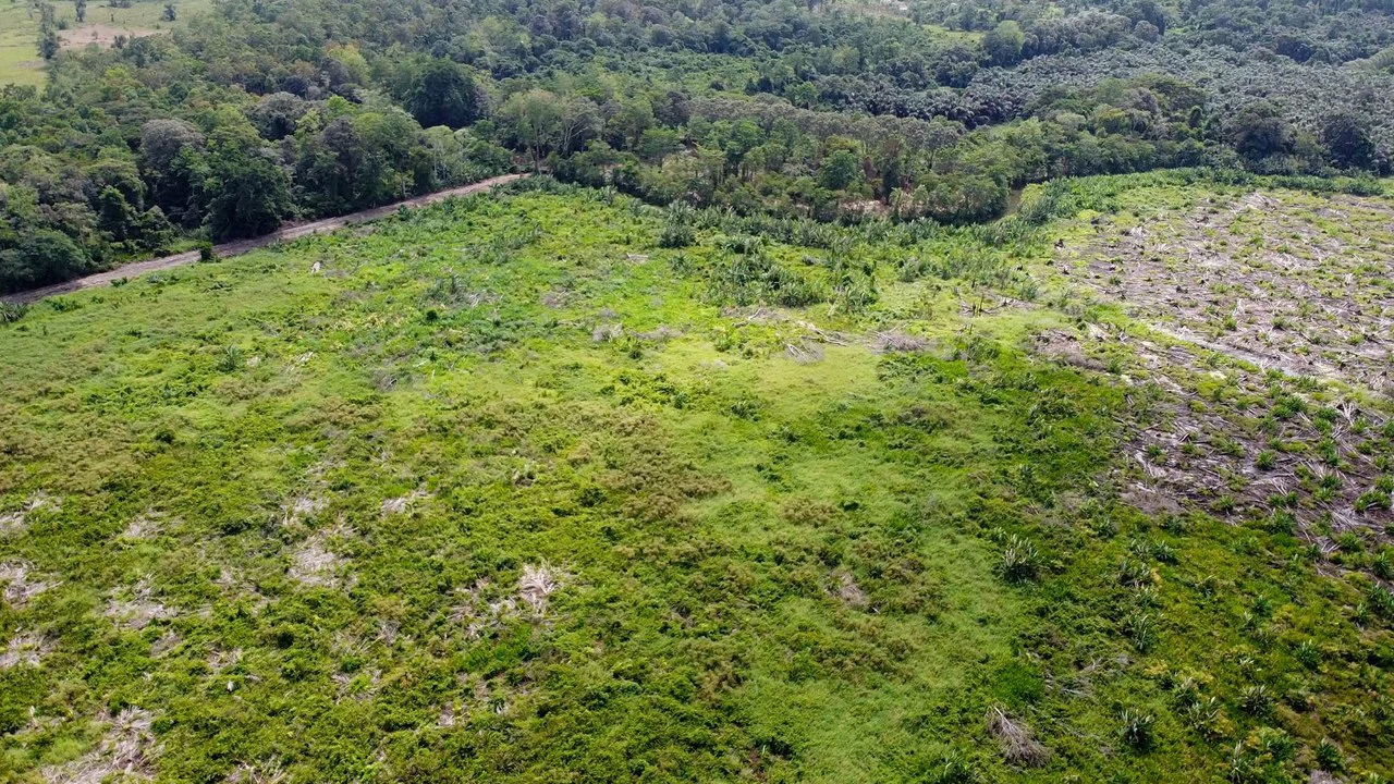Terreno en Zona Industrial de Limón: Development Parcel For Sale in Moin - Gallery image 6