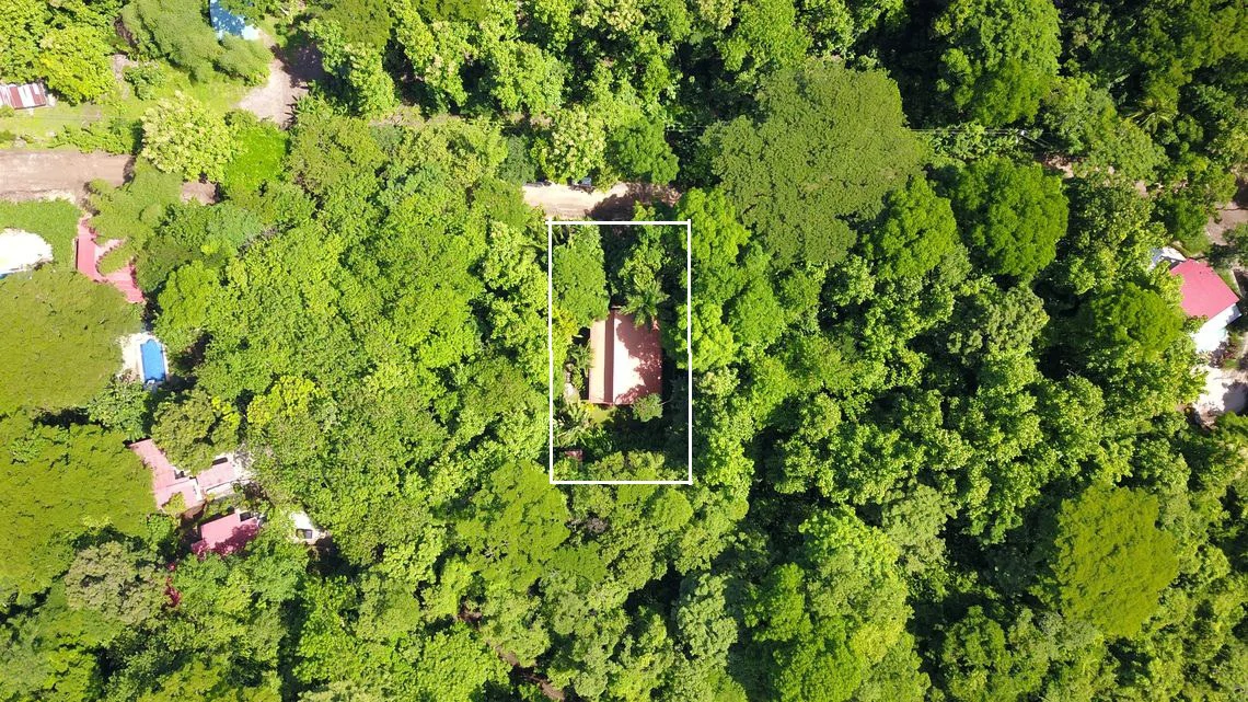 Casa Mango: Price Drop - Peaceful Teak Chalet-Style Home With Expansion Potential in a Lush Tropical Setting Near Samara - Gallery image 2